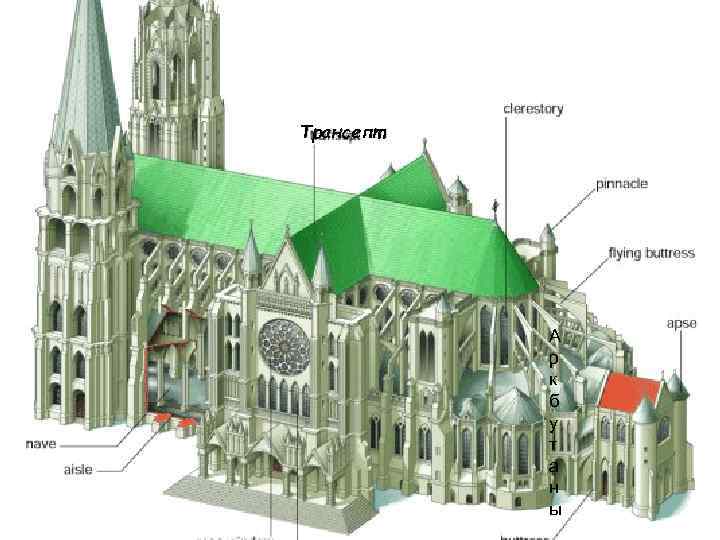 Трансепт А р к б у т а н ы 