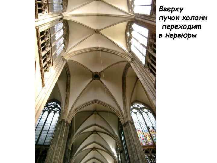 Вверху пучок колонн переходит в нервюры 