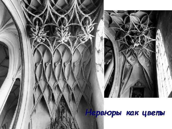 Нервюры как цветы 