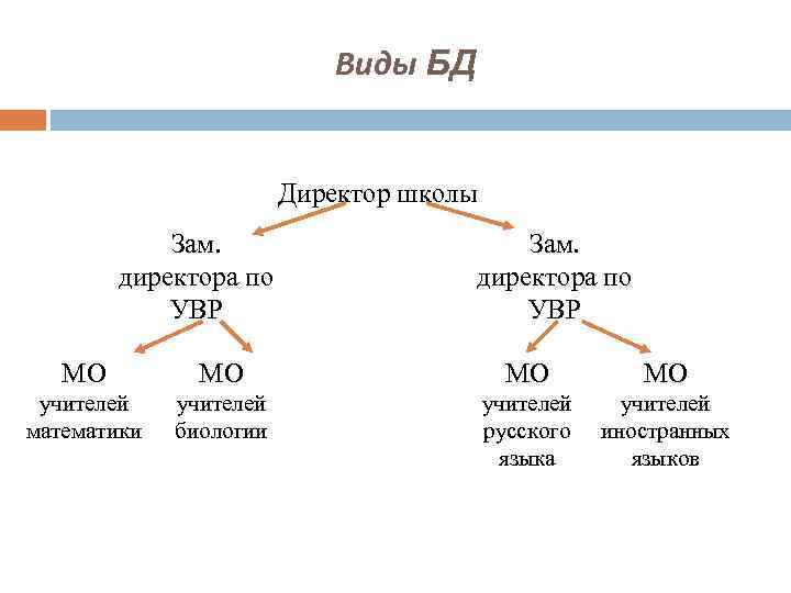 Виды БД Директор школы Зам. директора по УВР МО МО учителей математики учителей биологии