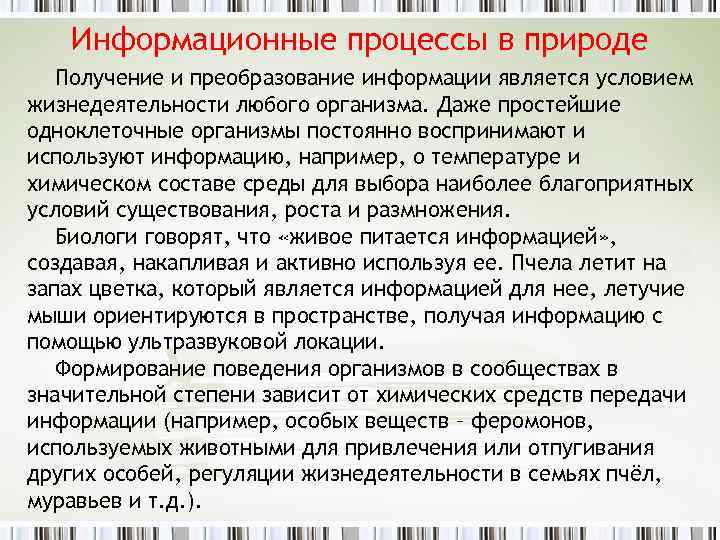 Информационные процессы в природе Получение и преобразование информации является условием жизнедеятельности любого организма. Даже