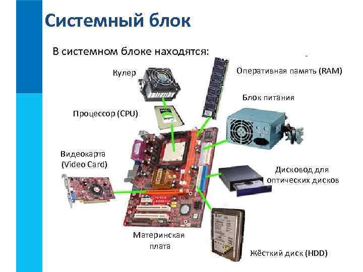 Системный блок В системном блоке находятся: Кулер Оперативная память (RAM) Блок питания Процессор (CPU)