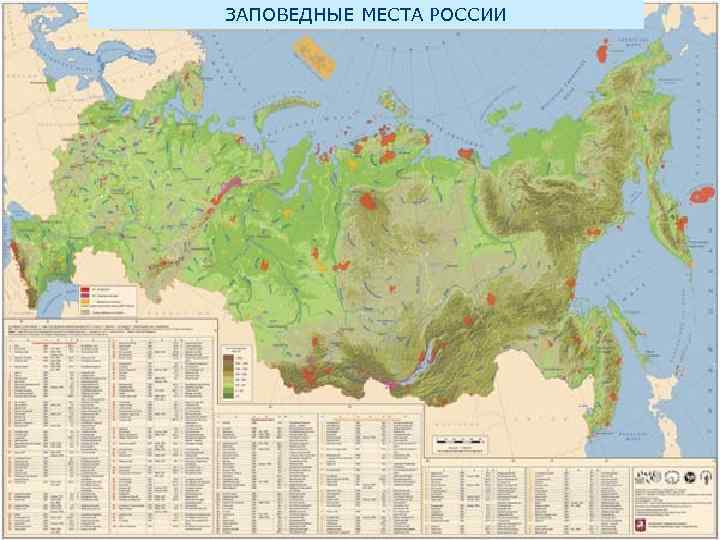 ЗАПОВЕДНЫЕ МЕСТА РОССИИ 