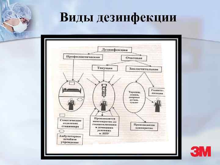 Виды дезинфекции 