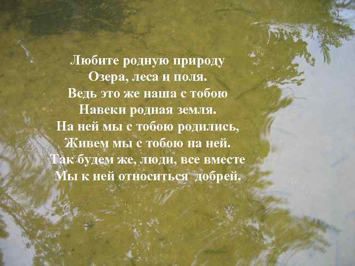 Любите родную природу Озера, леса и поля. Ведь это же наша с тобою Навеки