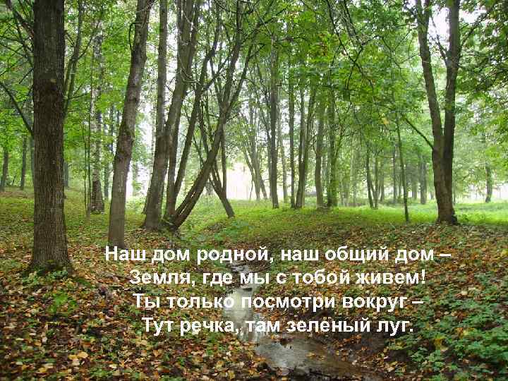 . Наш дом родной, наш общий дом – Земля, где мы с тобой живем!