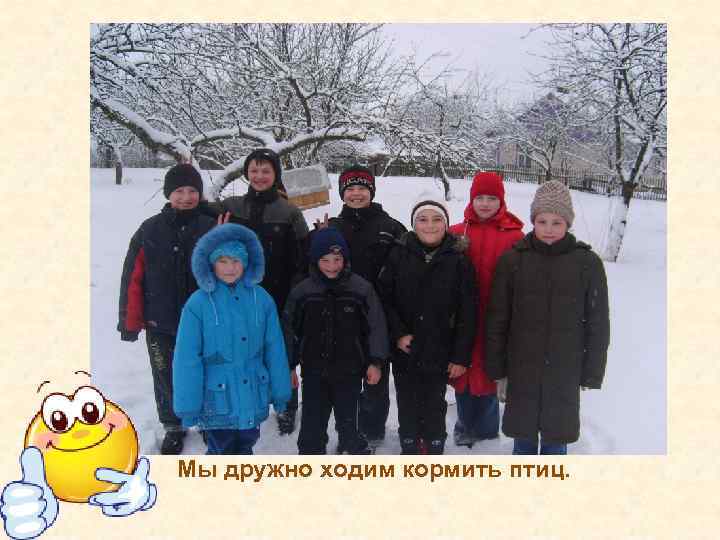 Мы дружно ходим кормить птиц. 