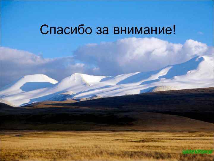 Спасибо за внимание! 