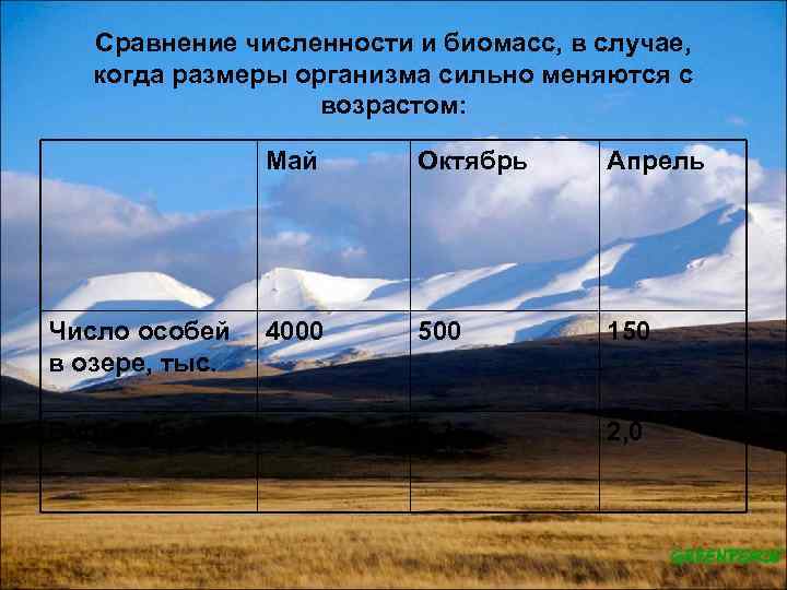 Сравнение численности и биомасс, в случае, когда размеры организма сильно меняются с возрастом: Май