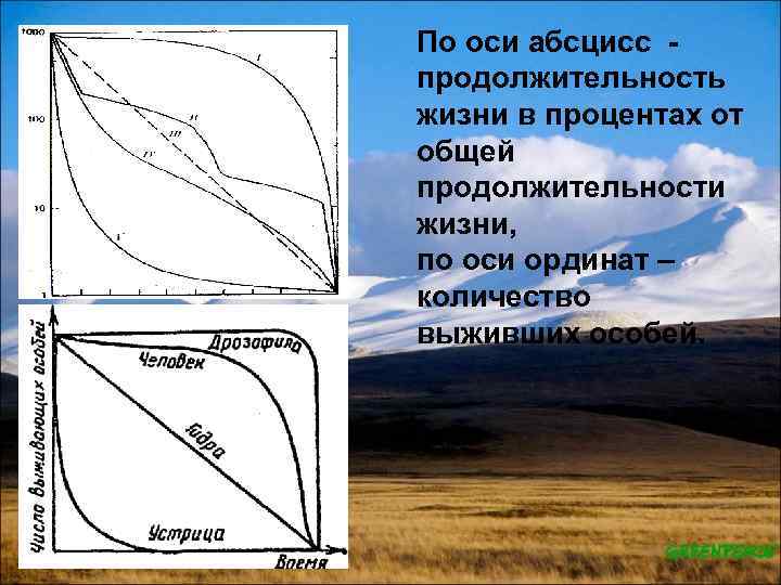 По оси абсцисс продолжительность жизни в процентах от общей продолжительности жизни, по оси ординат