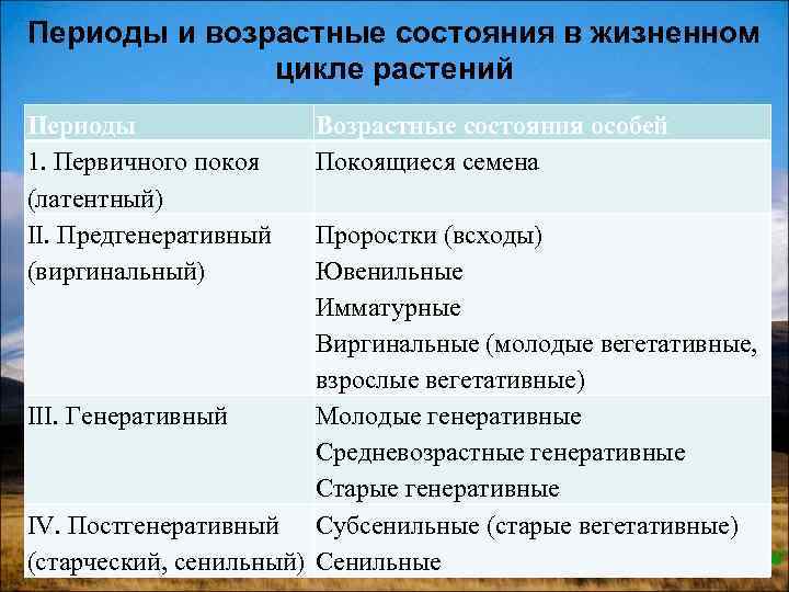 Возраст состояние. Периоды жизни и возрастные состояния растений. Возрастные состояния в жизненном цикле растений. Возрастные периоды растений. Возрастная периодизация растений.