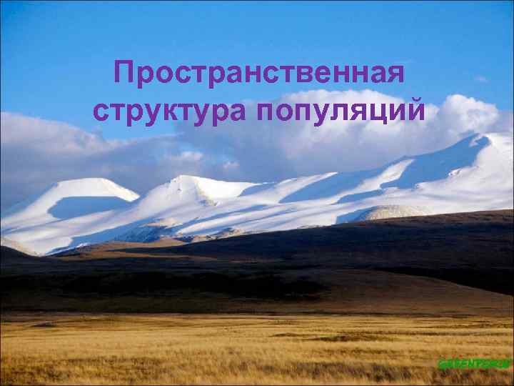 Пространственная структура популяций 