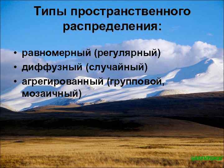 Типы пространственного распределения: • равномерный (регулярный) • диффузный (случайный) • агрегированный (групповой, мозаичный) 