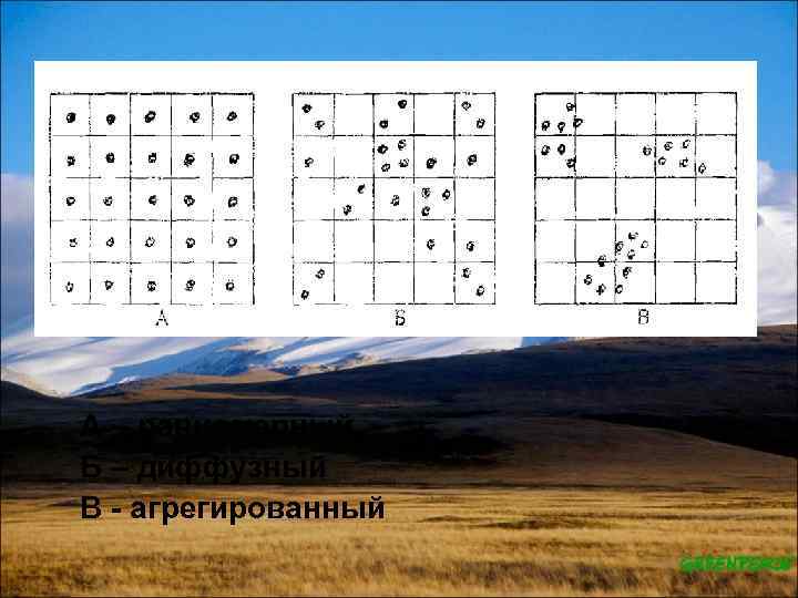 А – равномерный Б – диффузный В агрегированный 