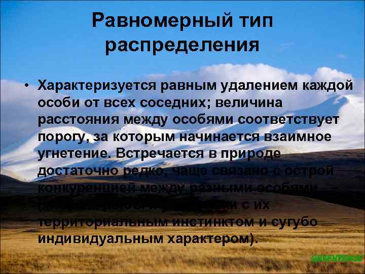 Равномерный тип распределения • Характеризуется равным удалением каждой особи от всех соседних; величина расстояния