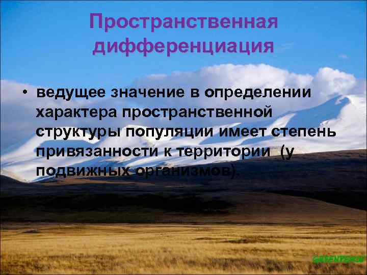 Пространственная дифференциация • ведущее значение в определении характера пространственной структуры популяции имеет степень привязанности