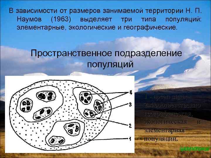 Тест вид популяция 11 класс