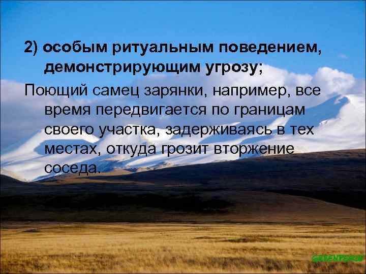 2) особым ритуальным поведением, демонстрирующим угрозу; Поющий самец зарянки, например, все время передвигается по