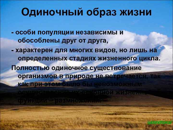 Одиночный образ жизни особи популяции независимы и обособлены друг от друга, характерен для многих
