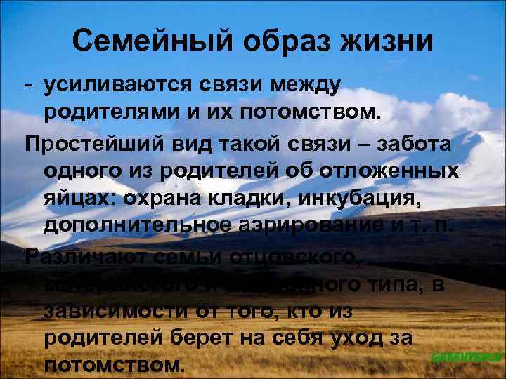 Семейный образ жизни - усиливаются связи между родителями и их потомством. Простейший вид такой