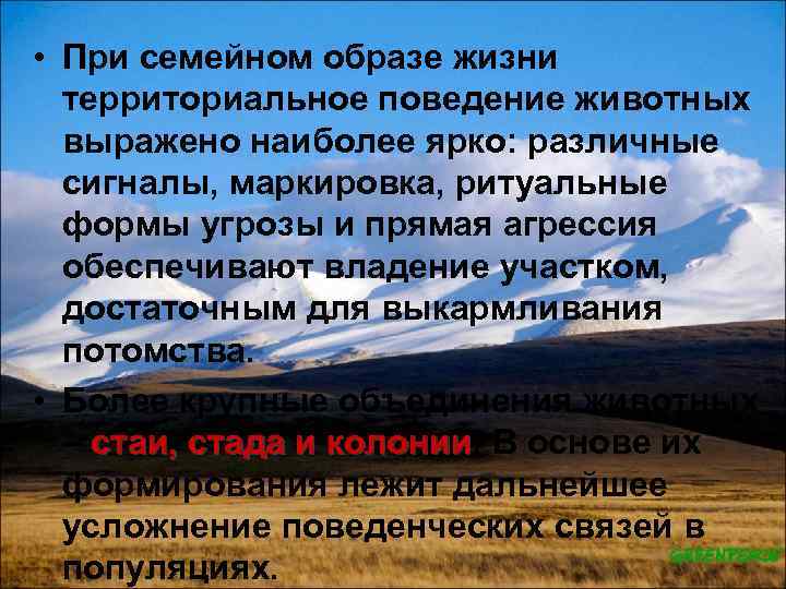  • При семейном образе жизни территориальное поведение животных выражено наиболее ярко: различные сигналы,