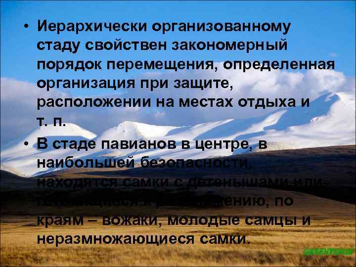  • Иерархически организованному стаду свойствен закономерный порядок перемещения, определенная организация при защите, расположении