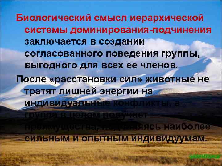 Биологический смысл иерархической системы доминирования подчинения заключается в создании согласованного поведения группы, выгодного для