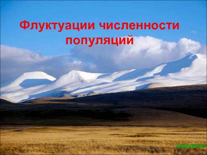 Флуктуации численности популяций 