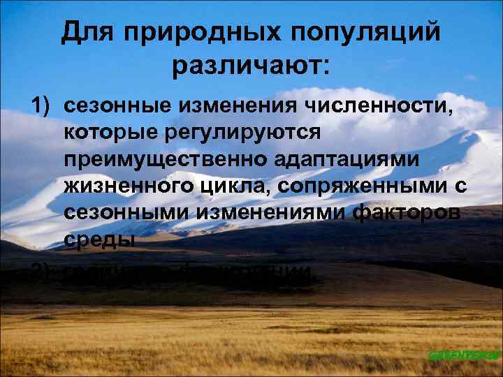 Какое животное ведет одиночный тип жизни. Одиночный образ жизни. Одиночный образ жизни характерен. Одиночный образ жизни животных. Особенности одиночного образа жизни.