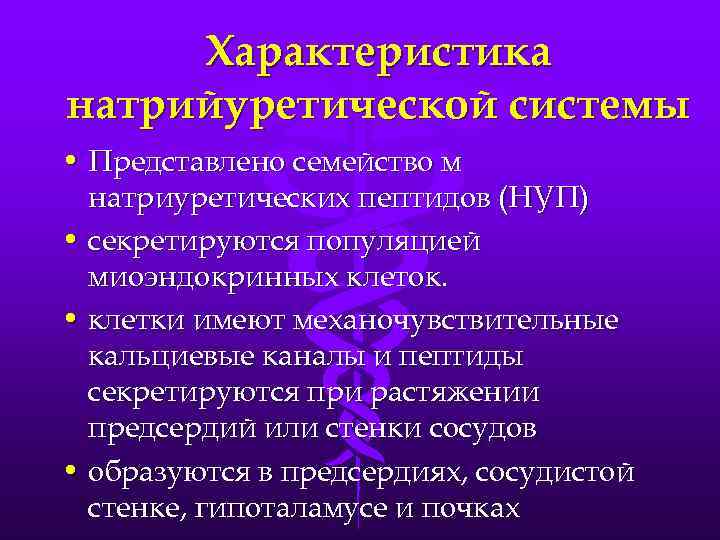Характеристика натрийуретической системы • Представлено семейство м натриуретических пептидов (НУП) • секретируются популяцией миоэндокринных