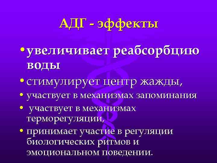 АДГ - эффекты • увеличивает реабсорбцию воды • стимулирует центр жажды, • участвует в