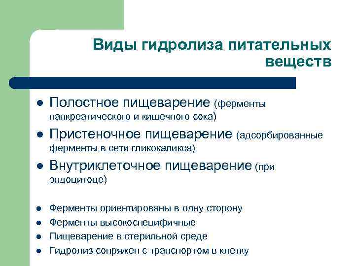 Полостное пищеварение. Ферменты пристеночного пищеварения. Полостной гидролиз пищевых веществ. Полостной и мембранный гидролиз питательных веществ.