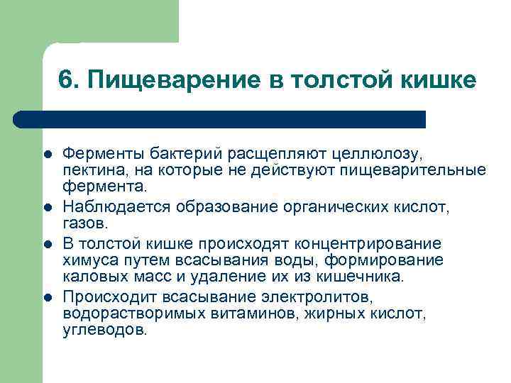 6. Пищеварение в толстой кишке l l Ферменты бактерий расщепляют целлюлозу, пектина, на которые