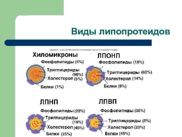 Виды липопротеидов 