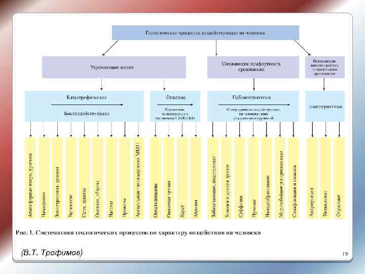 (В. Т. Трофимов) 19 