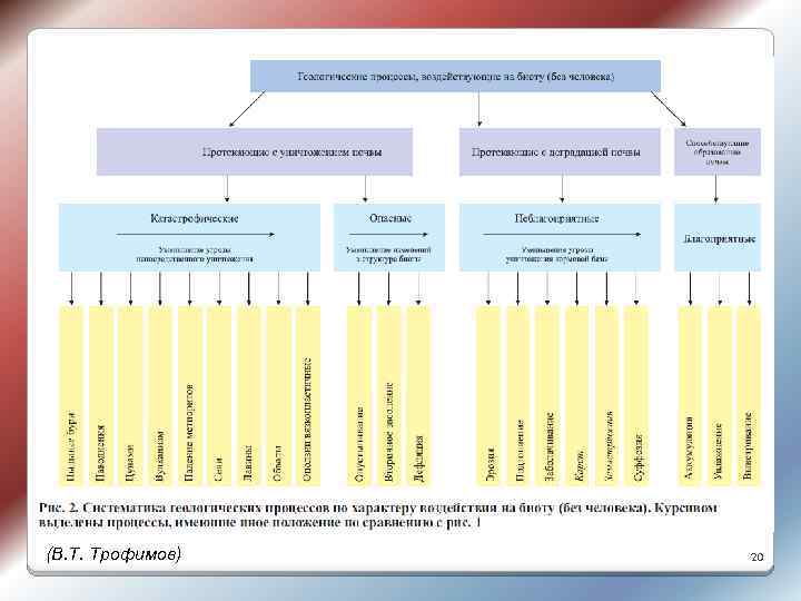 (В. Т. Трофимов) 20 