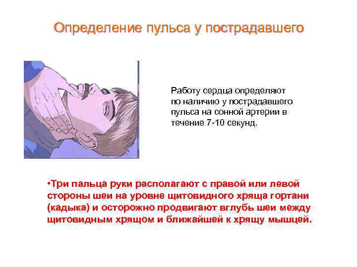 Определение пульса у пострадавшего Работу сердца определяют по наличию у пострадавшего пульса на сонной