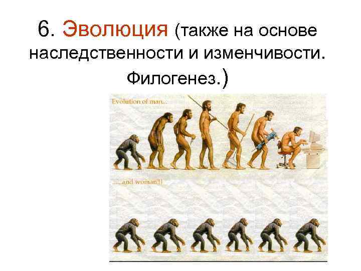 6. Эволюция (также на основе наследственности и изменчивости. Филогенез. ) 