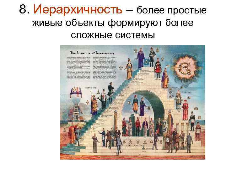 8. Иерархичность – более простые живые объекты формируют более сложные системы 