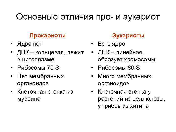 Основные отличия про- и эукариот • • • Прокариоты Ядра нет ДНК – кольцевая,