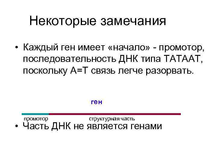 Некоторые замечания • Каждый ген имеет «начало» - промотор, последовательность ДНК типа ТАТААТ, поскольку