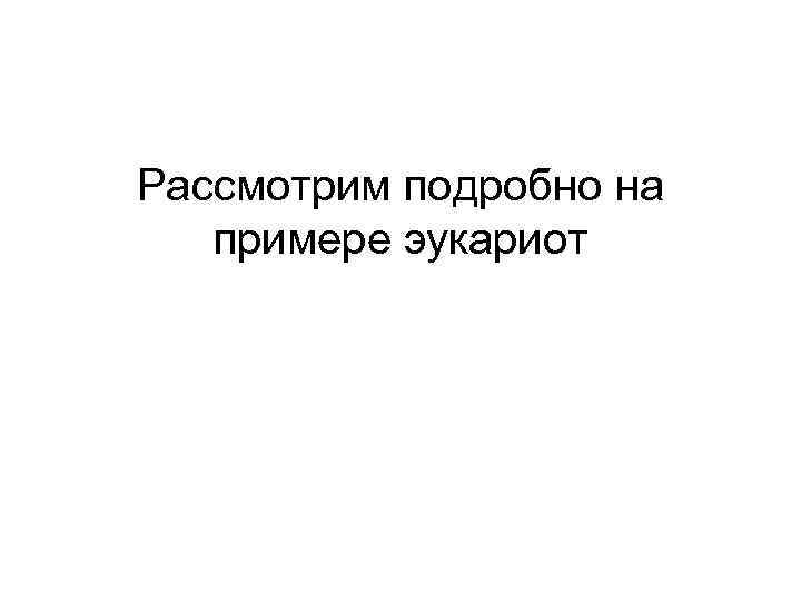 Рассмотрим подробно на примере эукариот 