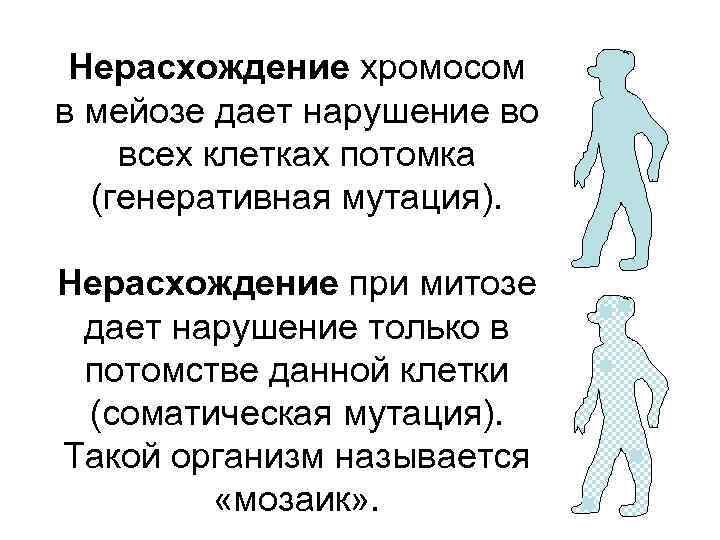 Нерасхождение хромосом в мейозе дает нарушение во всех клетках потомка (генеративная мутация). Нерасхождение при