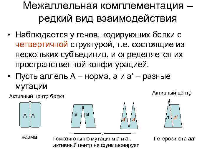 Определите какую закономерность иллюстрирует данная схема р аа х аа