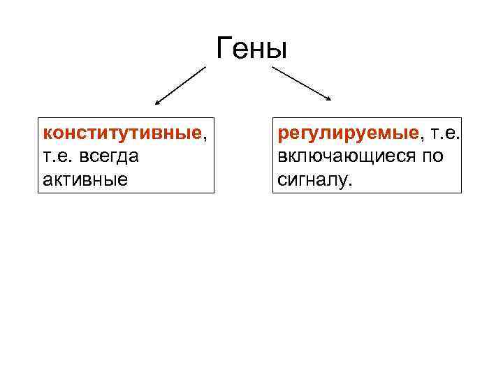 Гены конститутивные, т. е. всегда активные регулируемые, т. е. включающиеся по сигналу. 