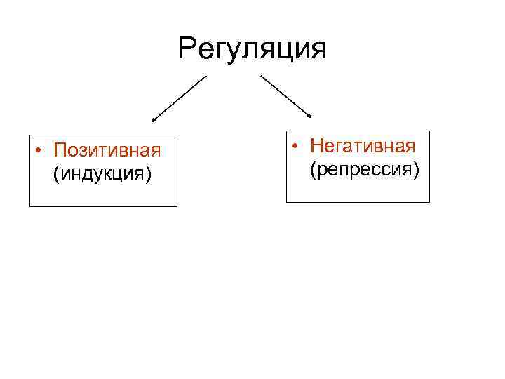 Регуляция • Позитивная (индукция) • Негативная (репрессия) 