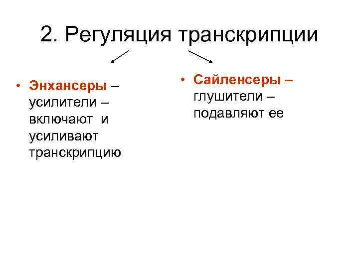 2. Регуляция транскрипции • Энхансеры – усилители – включают и усиливают транскрипцию • Сайленсеры