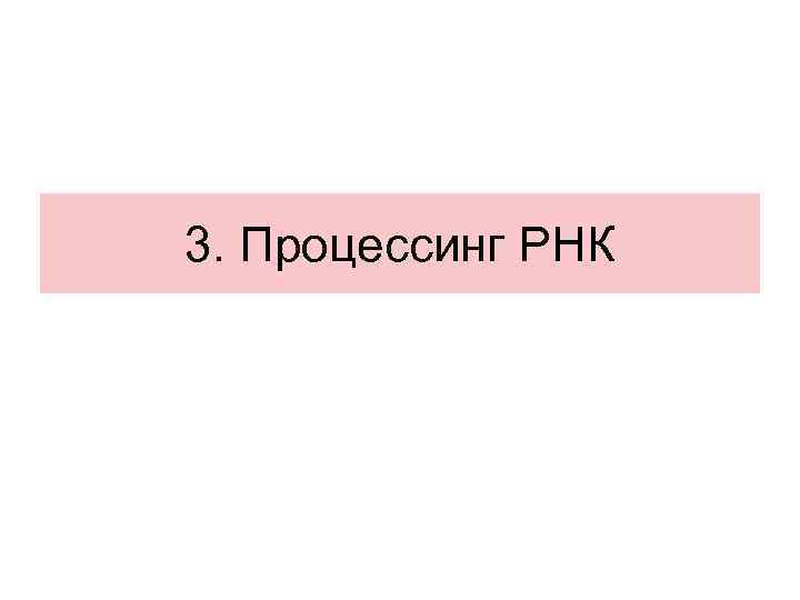 3. Процессинг РНК 