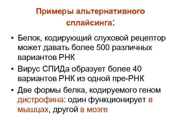 Примеры альтернативного сплайсинга: • Белок, кодирующий слуховой рецептор может давать более 500 различных вариантов