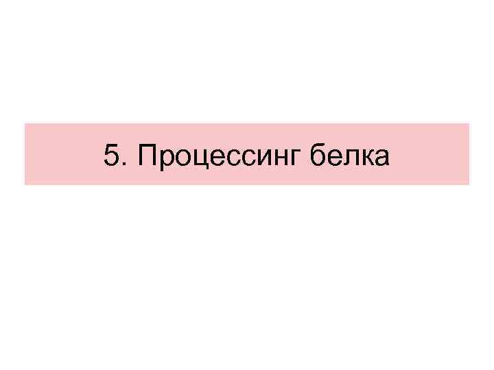 5. Процессинг белка 